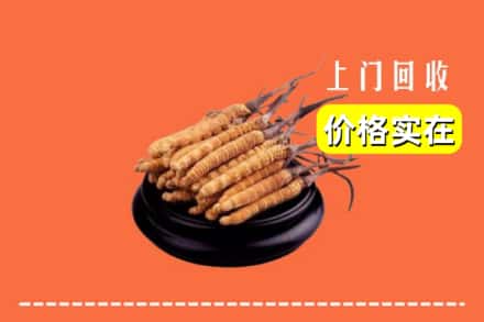 新抚区回收冬虫夏草