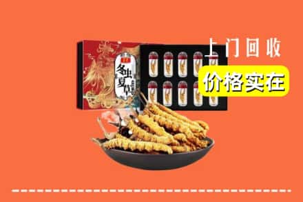 新抚区回收虫草